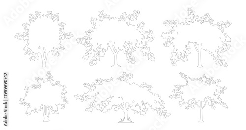 Minimalist tree outline vector set, hand drawn botanical line art icons, collection of 6 deciduous tree silhouettes for architectural site plans
