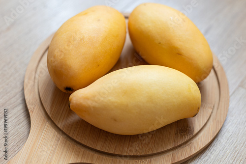 Fresh yellow picked mangoes displayed on wooden board