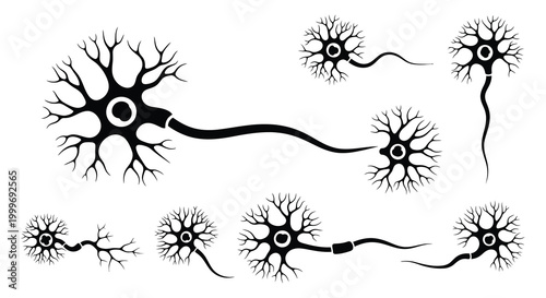neuron cells with dendrites and axons silhouette high quality professional detailed modern elegant stylish clean crisp vibrant colorful digital creative innovative