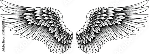 Detailed illustration of a pair of feathered angel wings spread wide in a dramatic pose  symbolizing freedom and protection