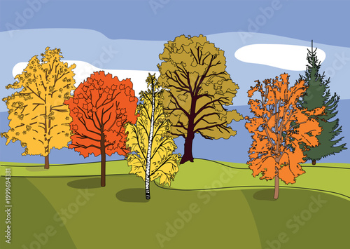 Autumn landscape with colorful forest trees for kids education including maple, birch, oak, rowan and spruce, illustration, vector