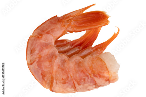 Langoustine tail on a white background. Fresh langoustine tail close-up isolated on a white background.