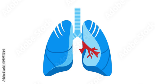 Human Lung Anatomy Medical Illustration.