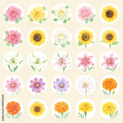 Beautiful watercolor icon sheet, 20 circular icons in neat grid, summer flowers