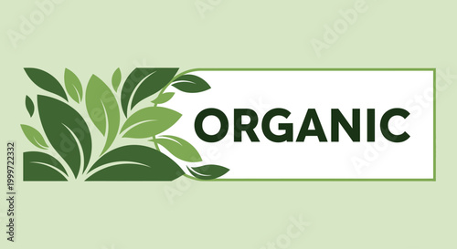 Green leaves illustrate organic concept on light background