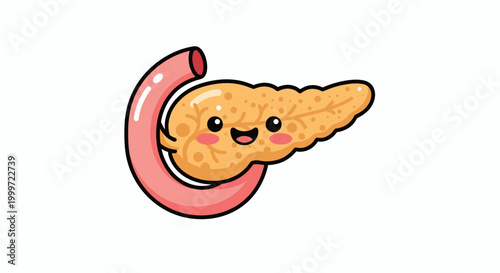 Cute Cartoon Pancreas Illustration with Duodenum Isolated on White