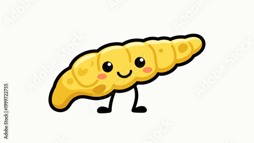 Cute Cartoon Pancreas Mascot Illustration on White Background