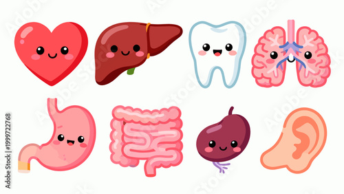 Cute cartoon human internal organs collection with smiling faces