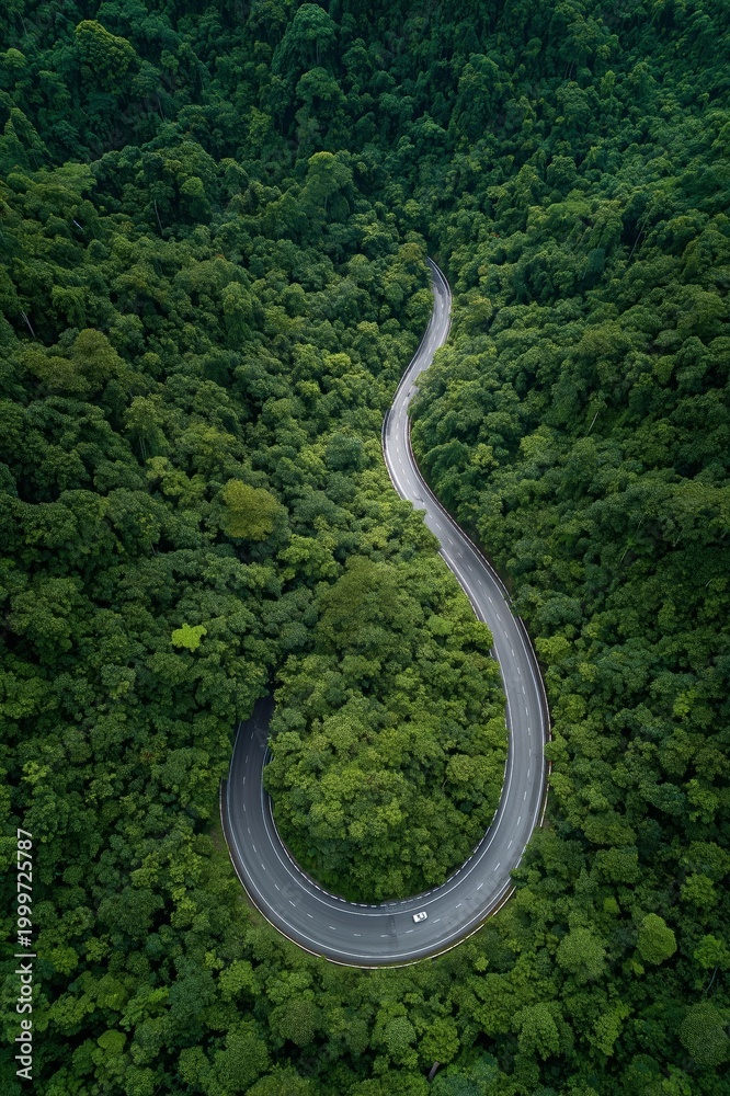 Obraz premium Curved highway in dense forest. Aerial view of a winding road forming a loop among dense green tropical vegetation, with only one car visible from above, a natural landscape and a travel theme.