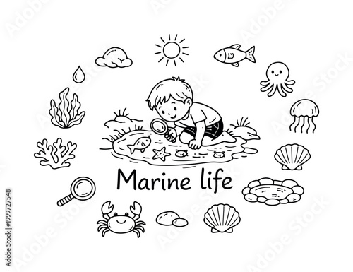 Marine life discovery. Hand-drawn doodle illustration of marine life discovery. In the middle, one slightly