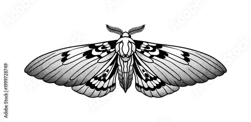 A pair of stylized moth wings detached and mirrored, creating an abstract ritual symbol, black and white halftone illustration, dense dot gradients, high