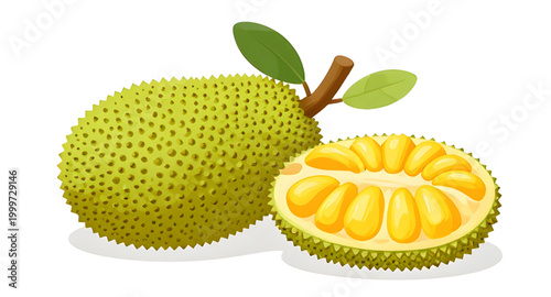 jackfruit illustration, tropical fruit isolated, fresh green jackfruit, organic exotic produce, healthy tropical food, natural fruit ingredient, farm fresh jackfruit, white background fruit, ripe trop