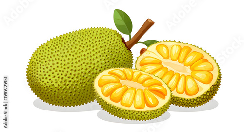 jackfruit illustration, tropical fruit isolated, fresh green jackfruit, organic exotic produce, healthy tropical food, natural fruit ingredient, farm fresh jackfruit, white background fruit, ripe trop