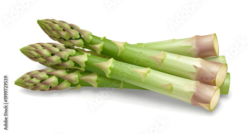 fresh green asparagus, asparagus spears isolated, organic vegetable produce, healthy farm vegetable, natural food ingredient, green asparagus stalks, vegan cooking ingredient, fresh market produce, wh