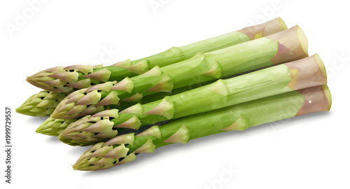 fresh green asparagus, asparagus spears isolated, organic vegetable produce, healthy farm vegetable, natural food ingredient, green asparagus stalks, vegan cooking ingredient, fresh market produce, wh