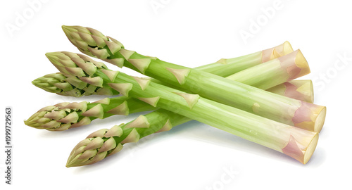 asparagus, green, vegetable, fresh, spear, healthy, organic, food, farm, natural, ingredient, vegan, nutrition, plant, isolated, white, simple