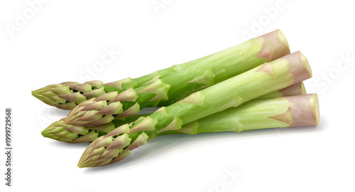 asparagus, green, vegetable, fresh, spear, healthy, organic, food, farm, natural, ingredient, vegan, nutrition, plant, isolated, white, simple