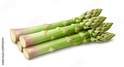 fresh green asparagus, asparagus spears isolated, organic vegetable produce, healthy farm vegetable, natural food ingredient, green asparagus stalks, vegan cooking ingredient, fresh market produce, wh