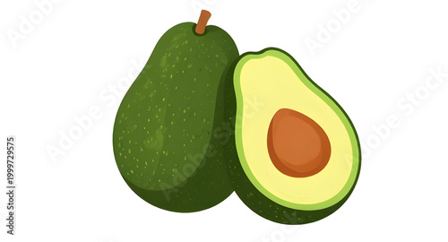 avocado illustration, fresh green avocado, organic healthy fruit, tropical food ingredient, ripe avocado fruit, natural farm produce, vegan kitchen ingredient, nutritious green fruit, fresh market avo