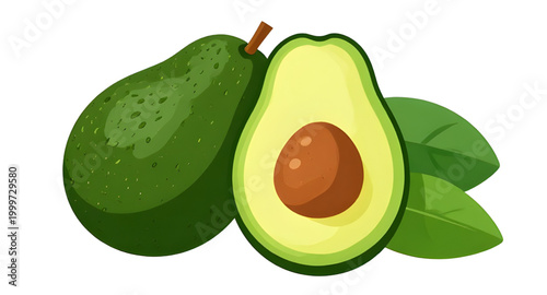 avocado illustration, fresh green avocado, organic healthy fruit, tropical food ingredient, ripe avocado fruit, natural farm produce, vegan kitchen ingredient, nutritious green fruit, fresh market avo
