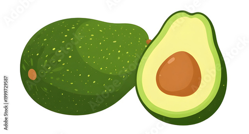 avocado illustration, fresh green avocado, organic healthy fruit, tropical food ingredient, ripe avocado fruit, natural farm produce, vegan kitchen ingredient, nutritious green fruit, fresh market avo
