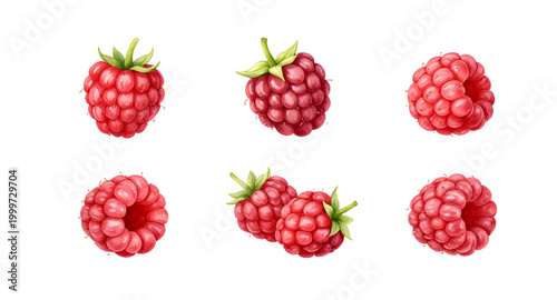 fresh red raspberries, raspberry fruit isolated, berries with leaves, organic raspberry bunch, healthy fruit snack, juicy red berries, farm fresh raspberries, natural sweet fruit, ripe berry cluster, 