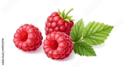 raspberry, berries, fruit, red, fresh, leaf, healthy, organic, sweet, juicy, food, natural, farm, isolated, white, ripe, organic