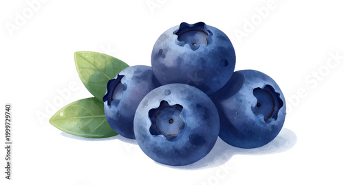 blueberries with leaves, fresh berry bunch, organic blueberry fruit, healthy fruit isolated, juicy blue berries, farm fresh blueberries, natural sweet fruit, antioxidant berry food, fresh fruit illust