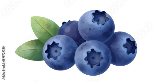 blueberry, berries, fruit, fresh, blue, leaf, bunch, healthy, organic, food, natural, sweet, juicy, farm, isolated, white, organic