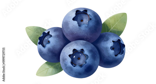 blueberries with leaves, fresh berry bunch, organic blueberry fruit, healthy fruit isolated, juicy blue berries, farm fresh blueberries, natural sweet fruit, antioxidant berry food, fresh fruit illust