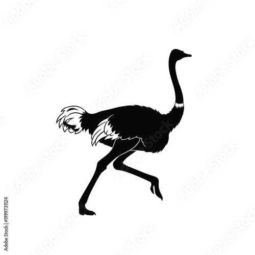 Striking black silhouette of a running ostrich depicted in dynamic side view