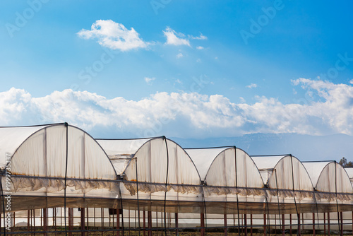 Row of arched greenhouses under blue sky with clouds