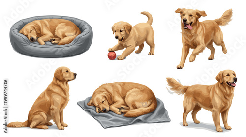 Playful golden retrievers in various poses home setting digital illustrations cheerful environment vibrant concepts