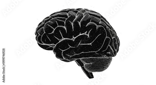 Abstract 3D Brain Illustration - Neural Network, Science, Technology Concept