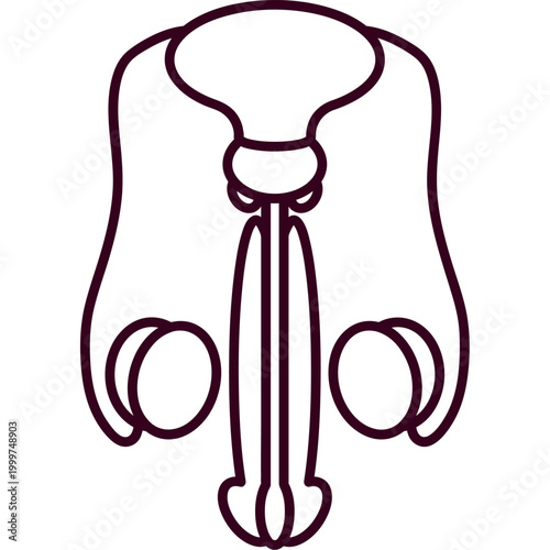 Human Urinary System Flat Vector Illustration
