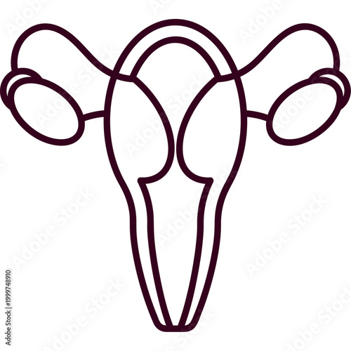 Female Reproductive System Anatomy Flat Illustration