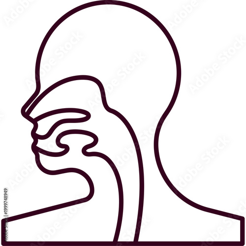 Human Head Throat Anatomy Flat Illustration