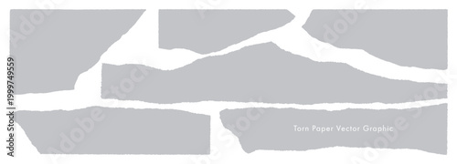 破れた紙のベクター・グラフィック素材（Grey）