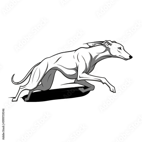 Dynamic sketch illustration of a racing greyhound dog sprinting fast Isolated on transparent background.