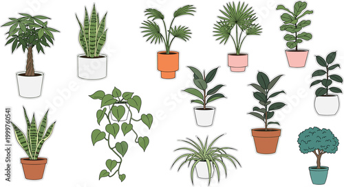 Set of Indoor Potted Plants Including Snake Plant, Ficus, Ivy, and More for Home Décor, Gardening, and Greenery Themes