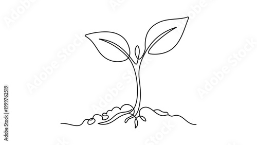 A simple line drawing of a seedling.