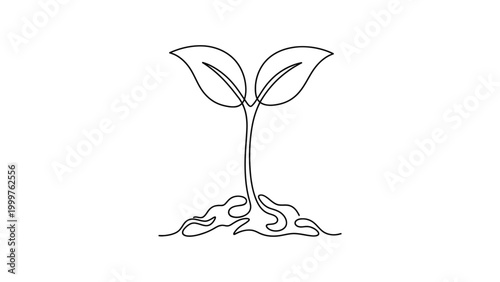 A line drawing of a seedling growing.