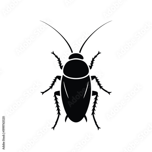 cockroach silhouette top view isolated on white background