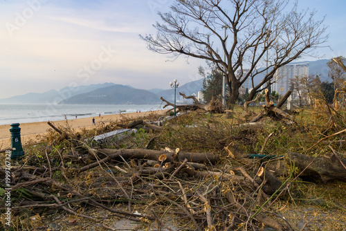 Fotografie Quy Nhon, Binh Dinh, Vietnam - Fallen trees and debris litter the beach after a storm, with the ocean and mountains in the background
