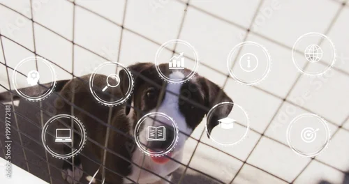 Obraz Peering small black-and-white dog looking through wire mesh pen on tiled floor, with UI icons