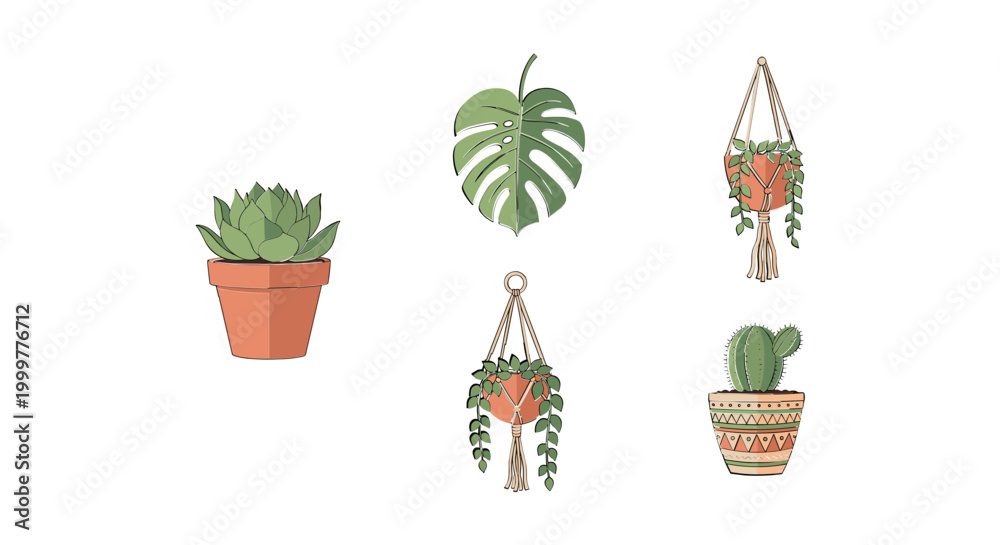 Fototapeta premium Set of cute hand drawn indoor potted houseplants and hanging succulents.