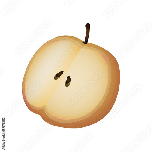 Sliced pear with noise gradient texture, simple fresh fruit vector