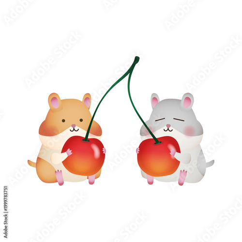 Hamster pair with cherry fruit, adorable animal illustration vector
