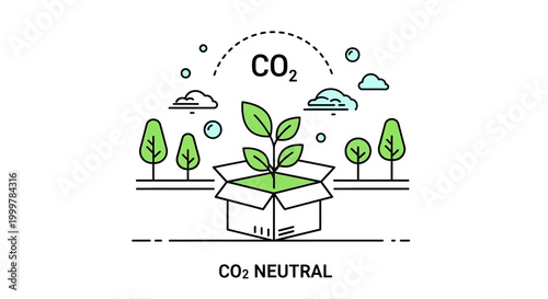 CO2 Neutral concept illustration with a green plant growing out of a cardboard box.