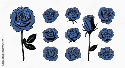 A vintage vector set of pink rose blossoms and floral leaves featuring a seamless nature pattern for elegant wallpaper decoration and bouquet art design